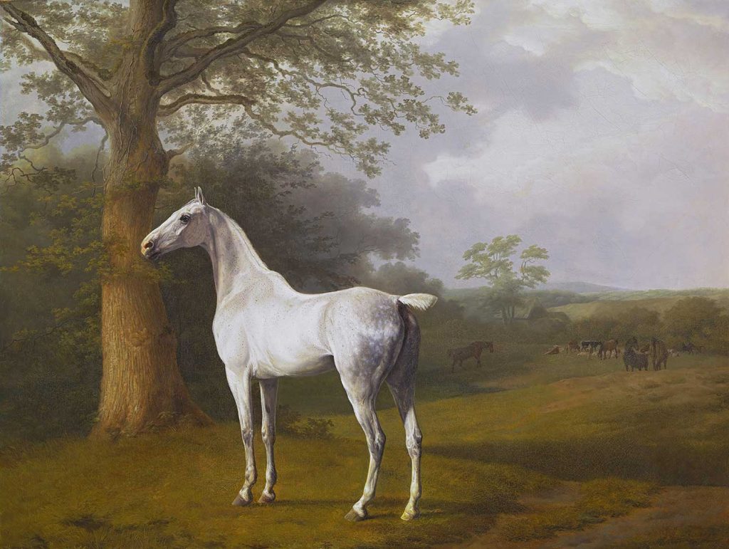 White Horse in Pasture by Jacques Laurent Agasse