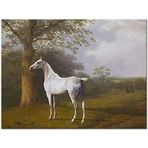 White Horse in Pasture by Jacques Laurent Agasse