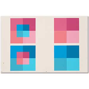 Interaction of Color by Josef Albers