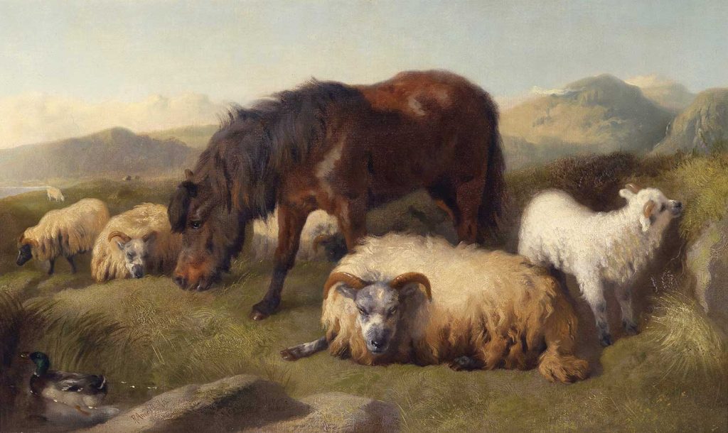 Goats and Pony by Richard Ansdell