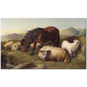 Goats and Pony by Richard Ansdell