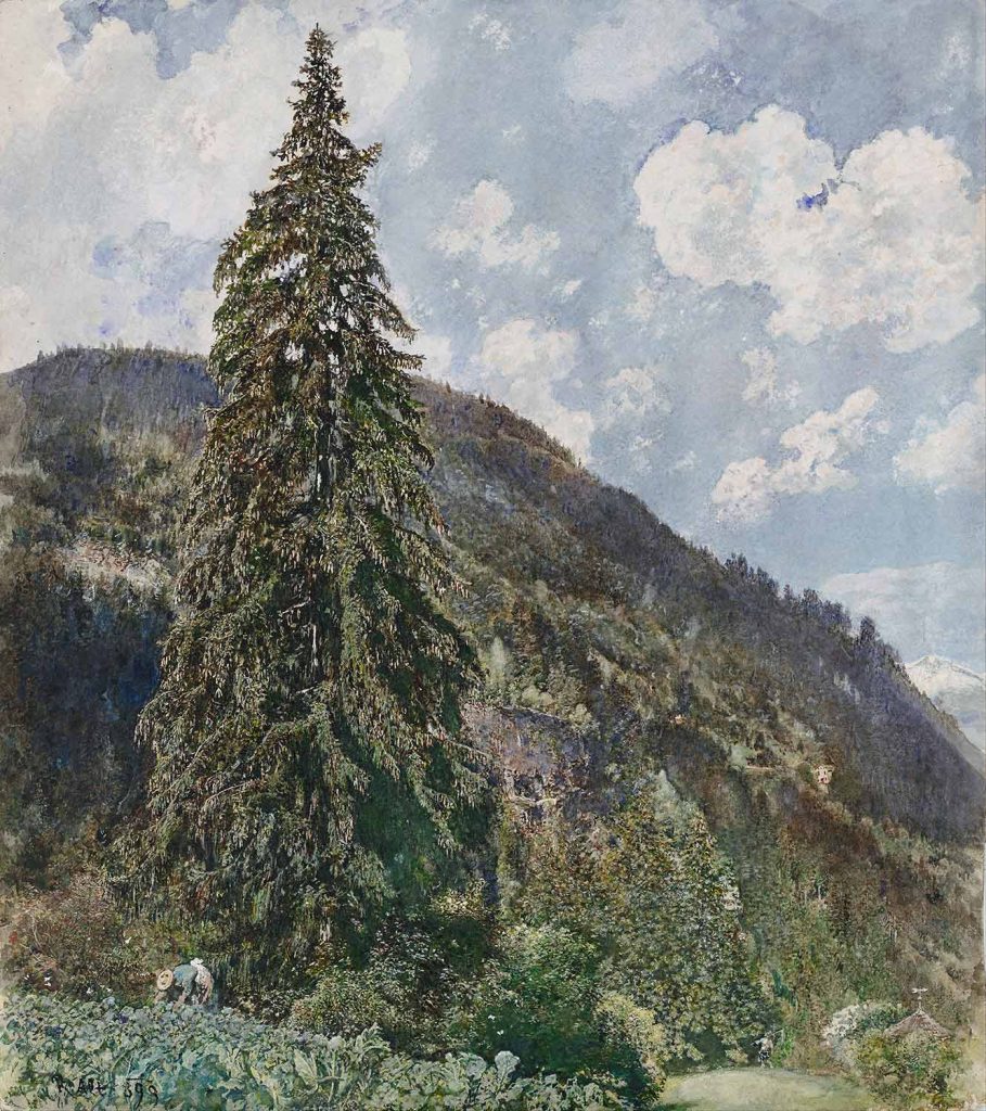 The Old Spruce in Bad Gastein by Rudolf Ritter von Alt