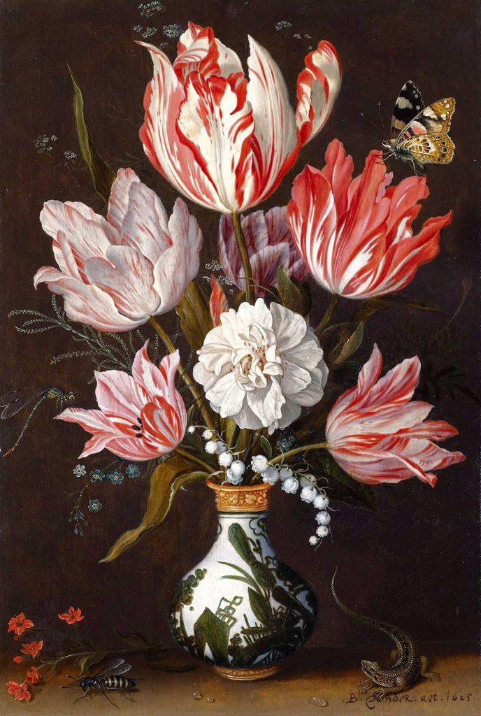 Tulips and Carnations in a Vase by Balthasar van der Ast