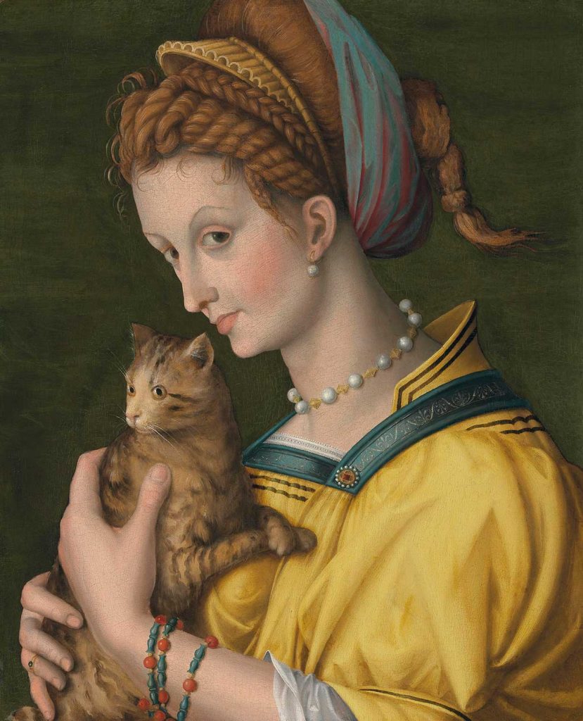 Portrait of a Young Lady Holding a Cat by Francesco Bacchiacca