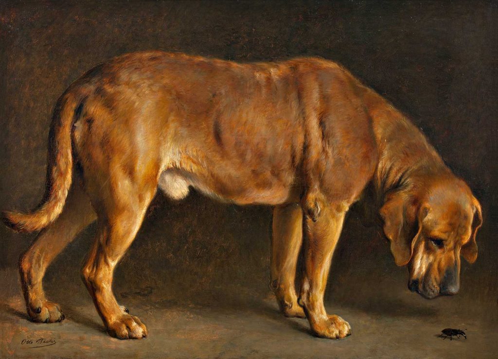 A Broholmer Dog Looking at a Stag Beetle by Otto Bache