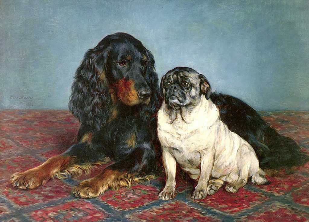 A Gordon Setter and a Pug by Otto Bache