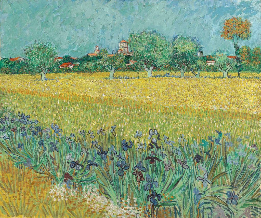 Field with Irises near Arles by Vincent van Gogh
