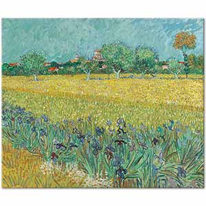 Field with Irises near Arles by Vincent van Gogh