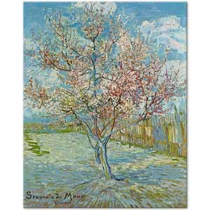 Pink Peach Trees ('Souvenir de Mauve') by Vincent van Gogh