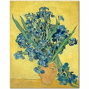 Irises 1890 by Vincent van Gogh