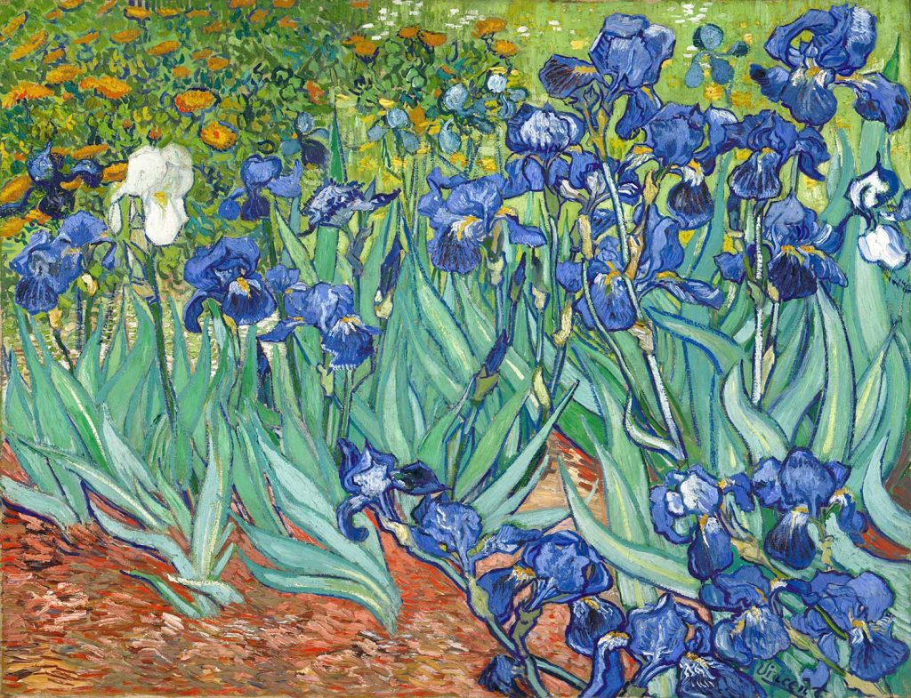 Irises 1889 by Vincent van Gogh