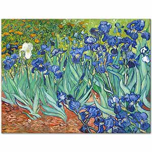 Irises 1889 by Vincent van Gogh