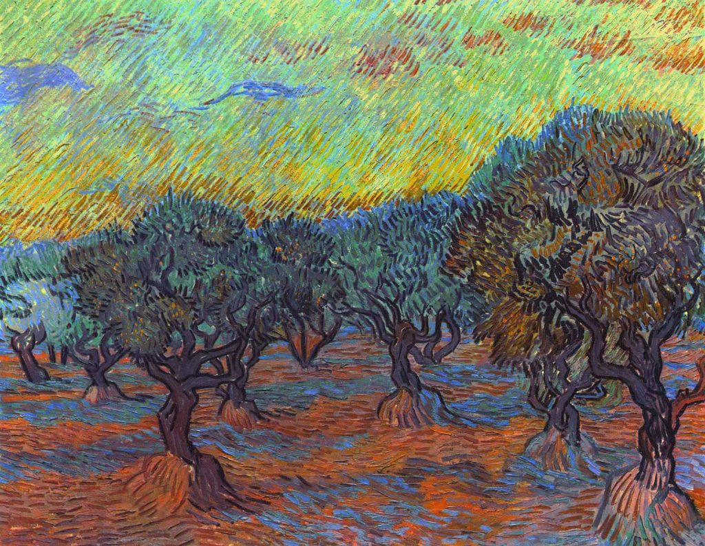 Olive Grove Saint-Rémy by Vincent van Gogh