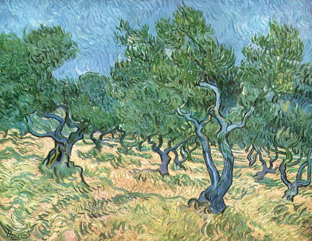 Olive Grove by Vincent van Gogh