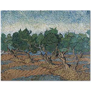 Olive Grove by Vincent van Gogh