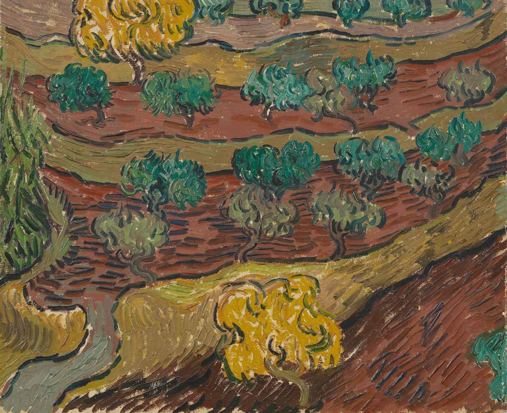 Olive Trees On A Hillside by Vincent van Gogh