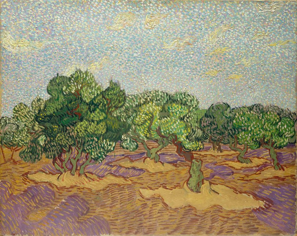 Olive Trees On A Field by Vincent van Gogh