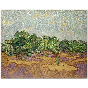 Olive Trees On A Field by Vincent van Gogh