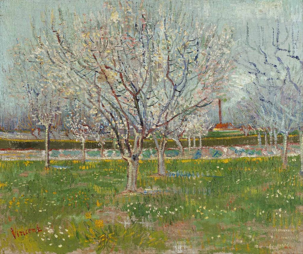 Orchard in Blossom (Apricot Trees) by Vincent van Gogh