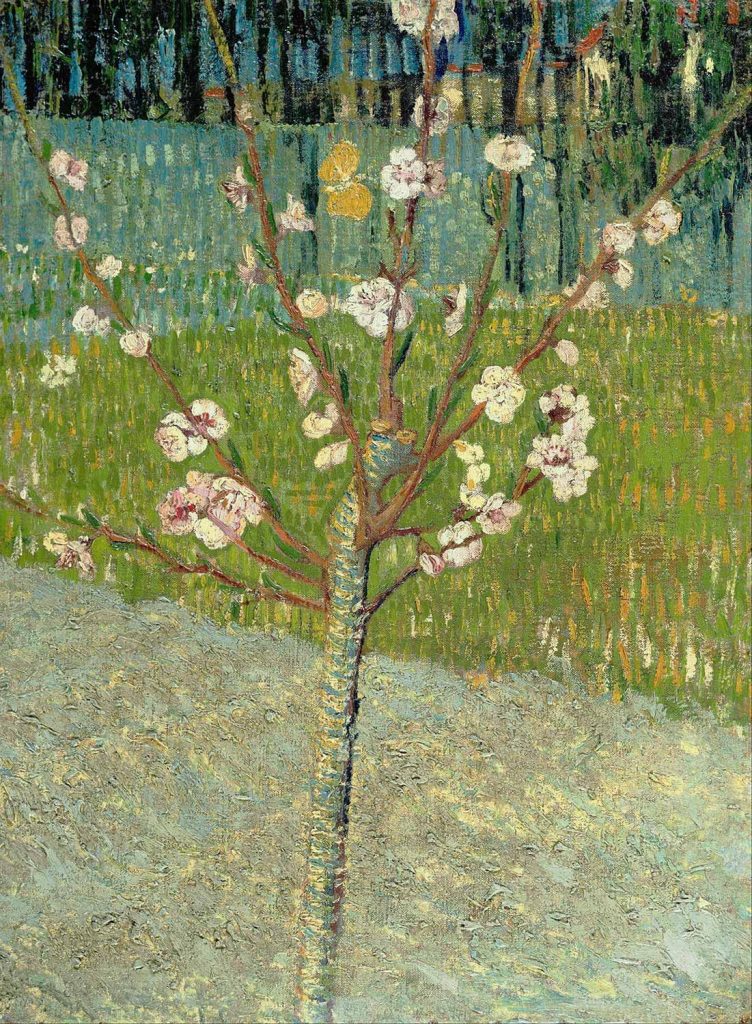 Peach Tree in Blossom by Vincent van Gogh