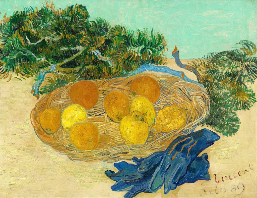 Still Life Of Oranges And Lemons With Blue Gloves