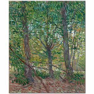 Trees by Vincent van Gogh