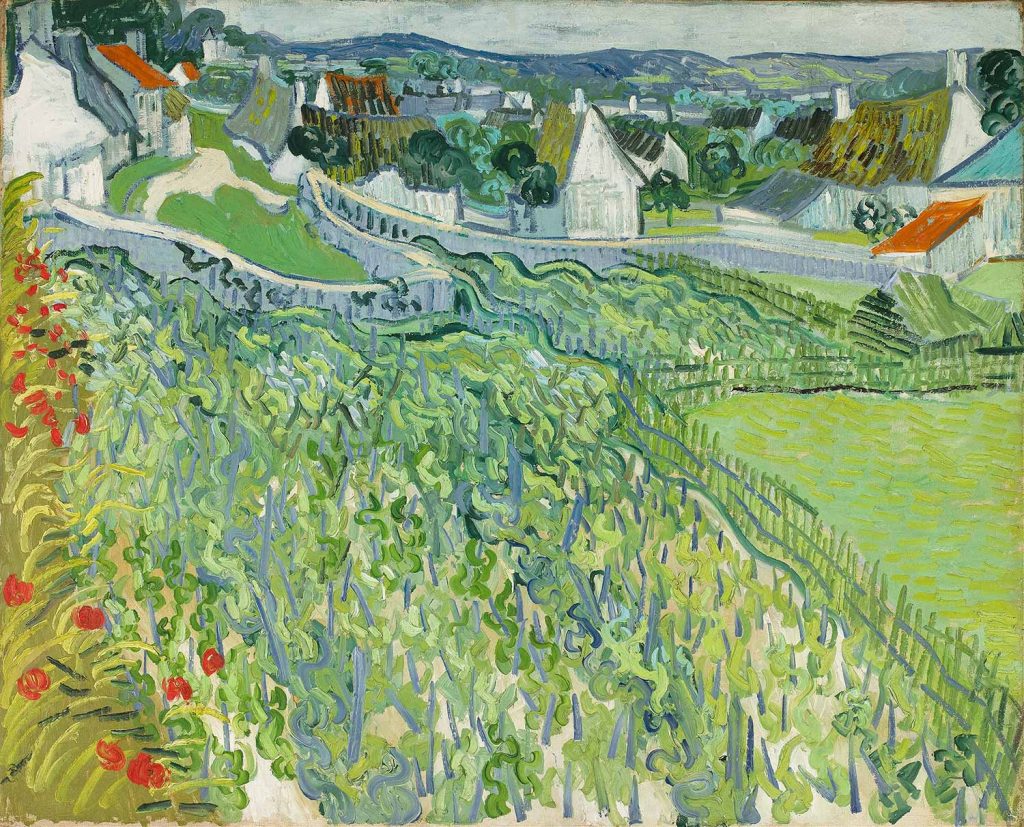 Vineyards At Auvers by Vincent van Gogh