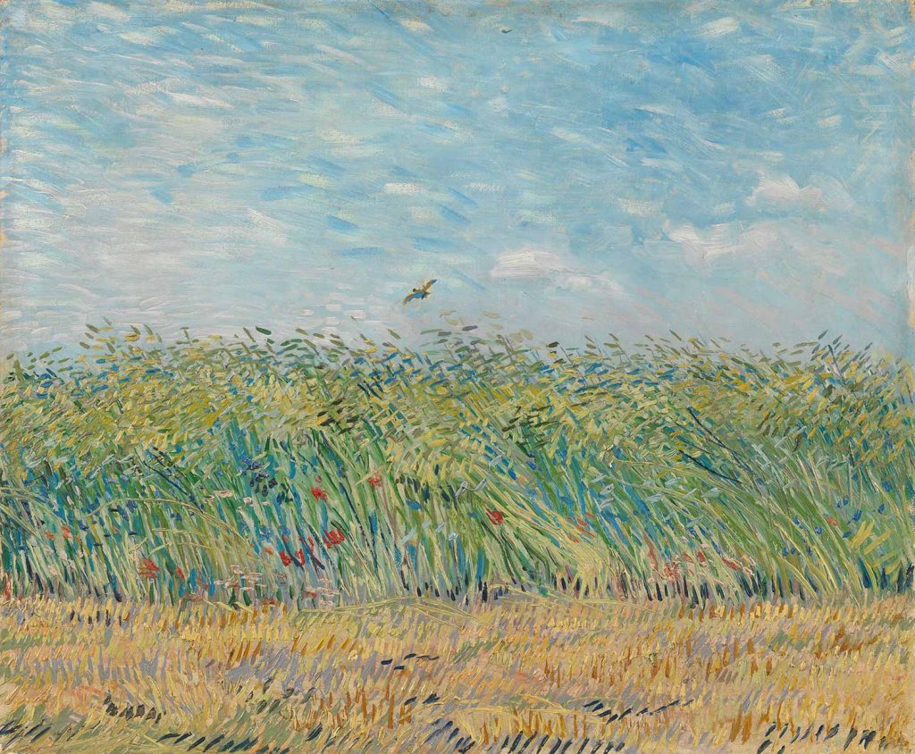 Wheatfield with Partridge by Vincent van Gogh