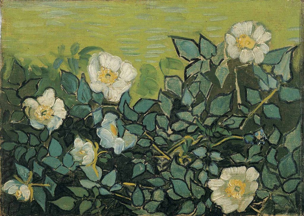 Wild Roses by Vincent van Gogh