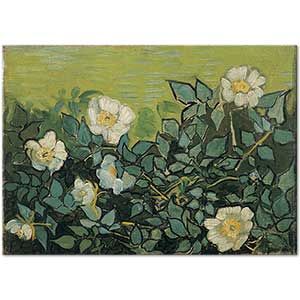 Wild Roses by Vincent van Gogh