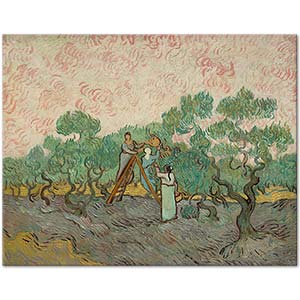 Women Picking Olives by Vincent van Gogh
