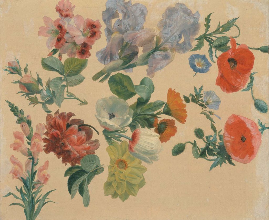 Studies of Summer Flowers by Jacques Laurent Agasse