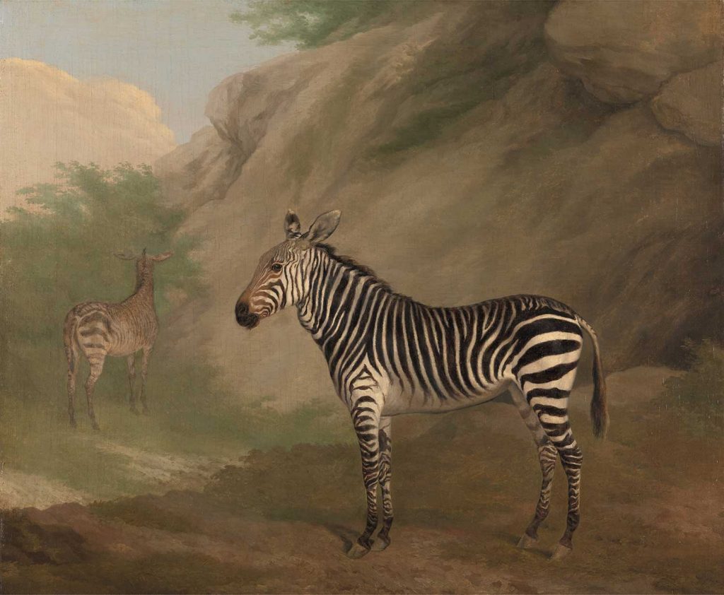Zebra by Jacques Laurent Agasse