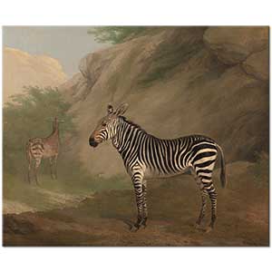 Zebra by Jacques Laurent Agasse